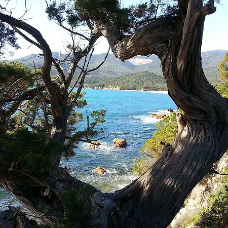 Casa Murina Ecologique De Charme Hotel Serra-di-Ferro (Corsica)
